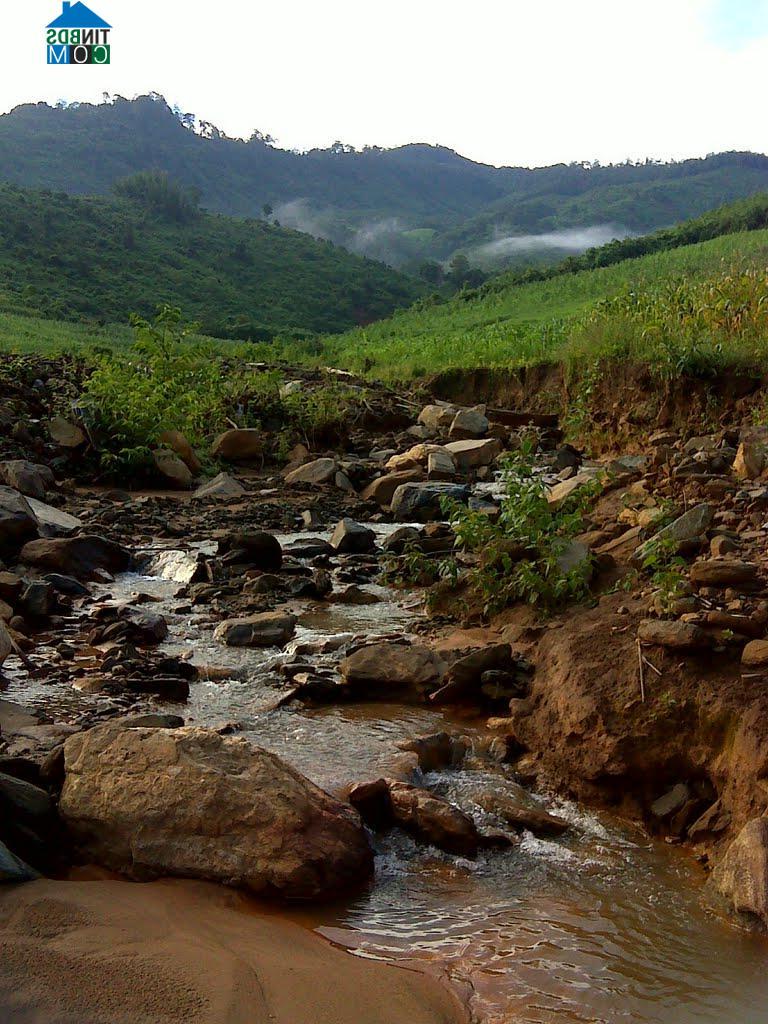 Hình ảnh Đăk Sao, Quảng Ngãi