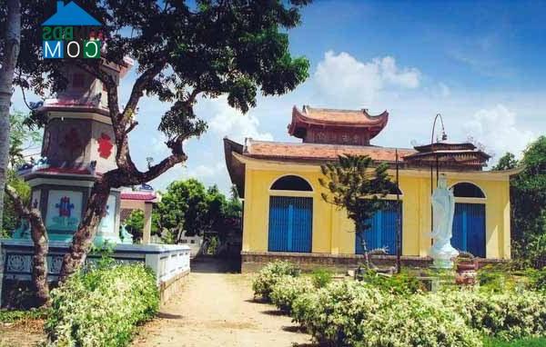 Hình ảnh Bình Hàng Trung, Đồng Tháp