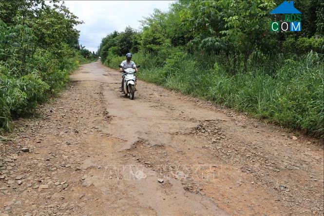 Hình ảnh Long Hà, Đồng Nai