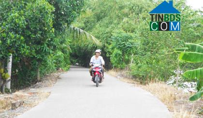 Hình ảnh Thạnh Phú, Đồng Tháp