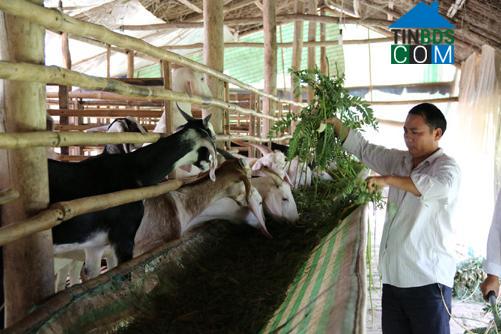 Hình ảnh Gò Công Đông, Đồng Tháp