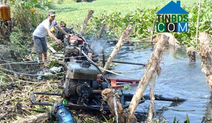 Hình ảnh Tân Hòa, Đồng Tháp