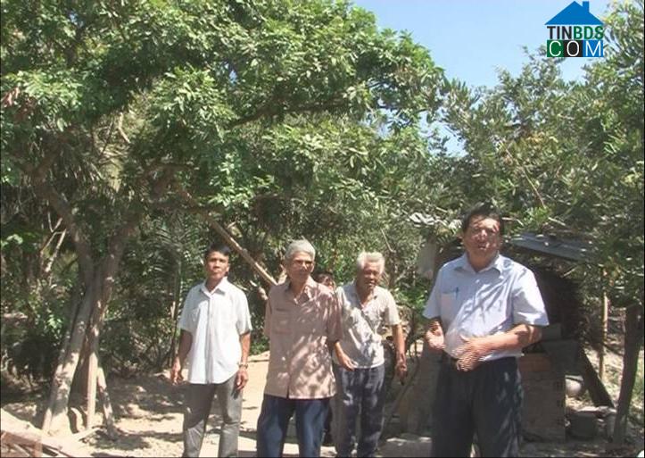 Hình ảnh Bình Ninh, Đồng Tháp