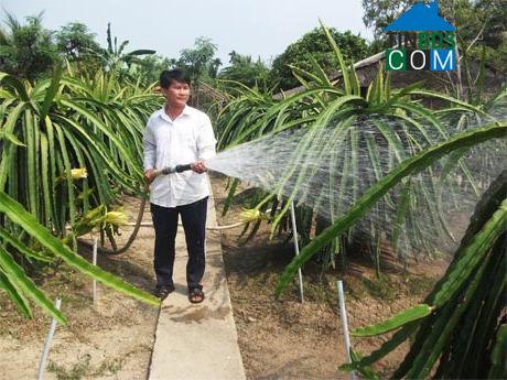 Hình ảnh Lương Hòa Lạc, Đồng Tháp