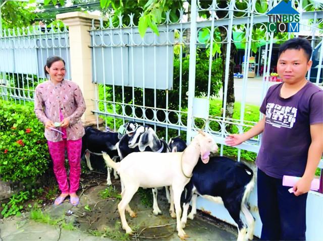 Hình ảnh Long Thuận, Đồng Tháp