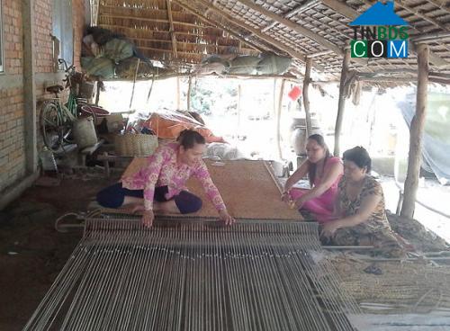 Hình ảnh Tân Phước 3, Đồng Tháp