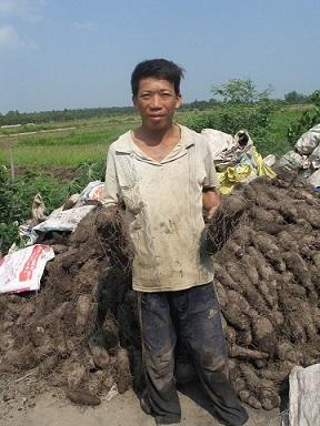 Hình ảnh Hưng Thạnh, Đồng Tháp