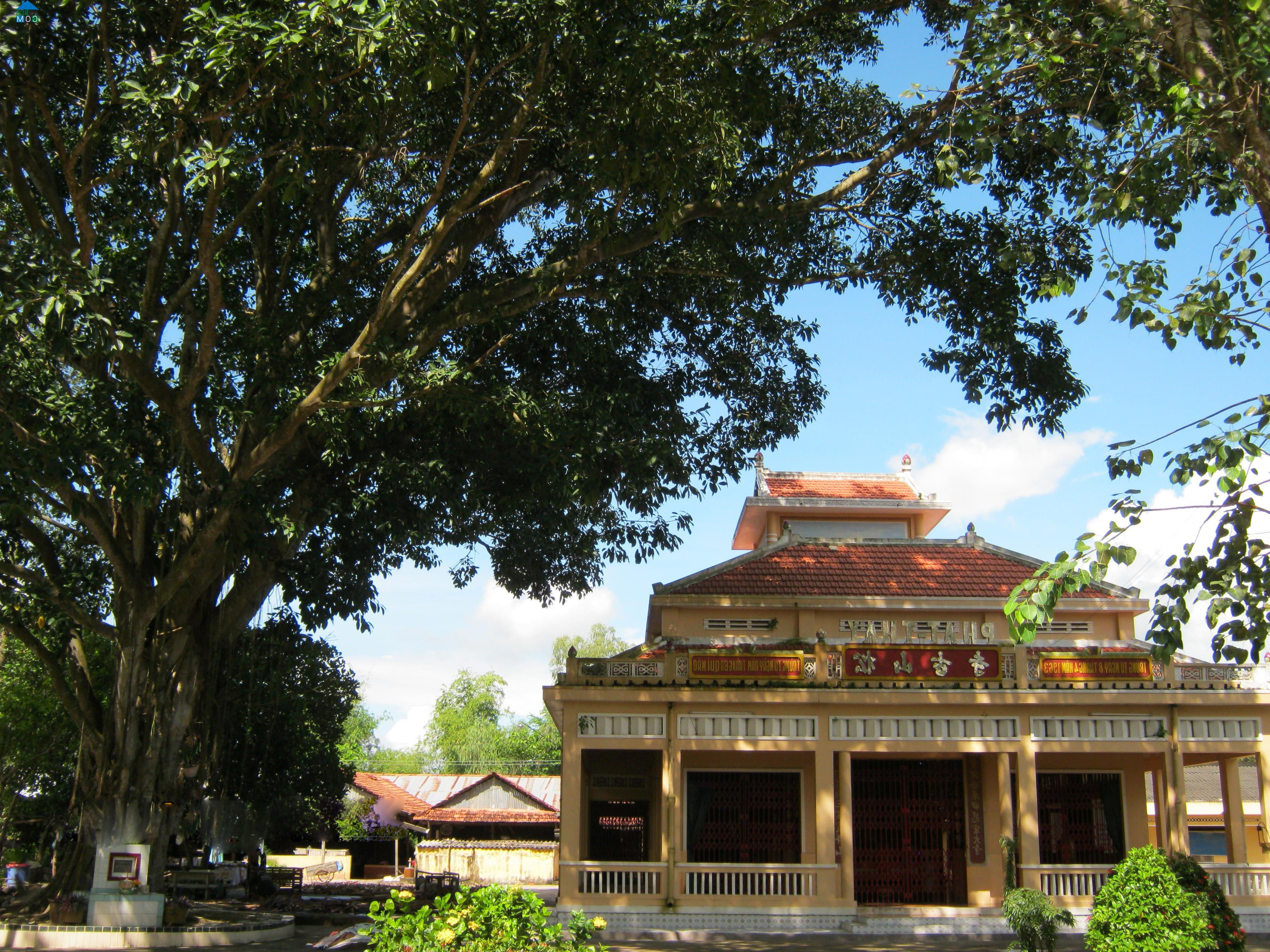 Hình ảnh Mỹ An Hưng, Đồng Tháp