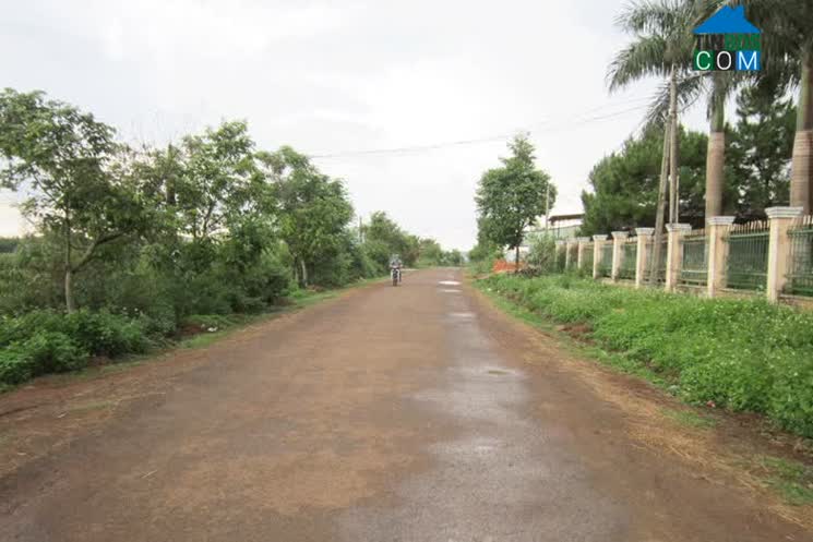 Hình ảnh An Phú, Gia Lai