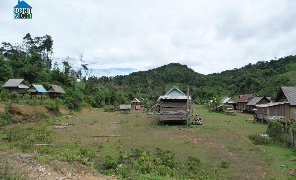Hình ảnh An Toàn, Gia Lai