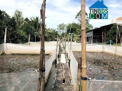 Hình ảnh Tháp Mười, Đồng Tháp