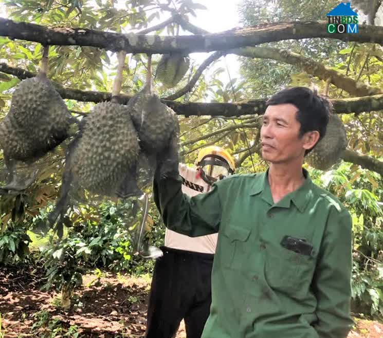 Hình ảnh Gào, Gia Lai