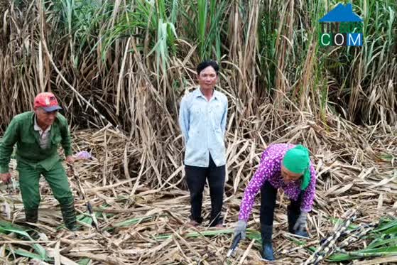 Hình ảnh Kbang, Gia Lai