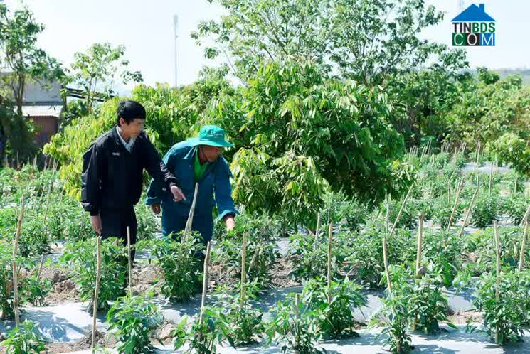 Hình ảnh Kông Chro, Gia Lai