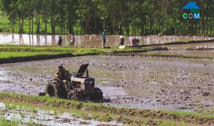 Hình ảnh Tơ Tung, Gia Lai