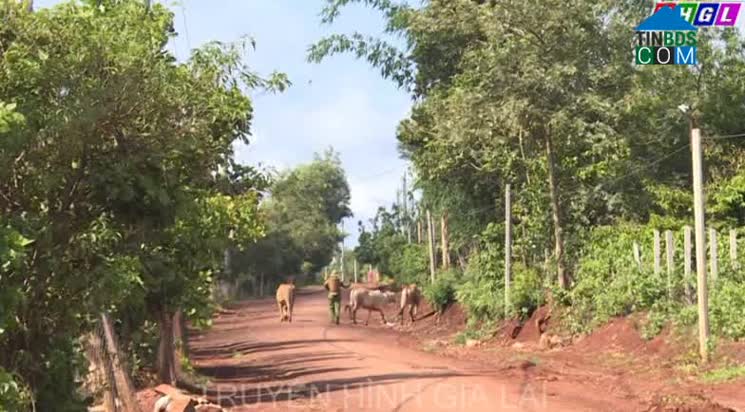 Hình ảnh Ia Tôr, Gia Lai