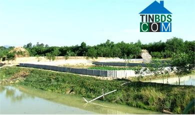 Hình ảnh Cẩm Lạc, Hà Tĩnh