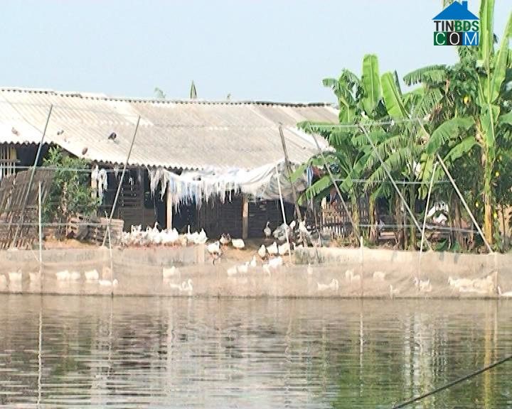 Hình ảnh Bắc Đông Hưng, Hưng Yên