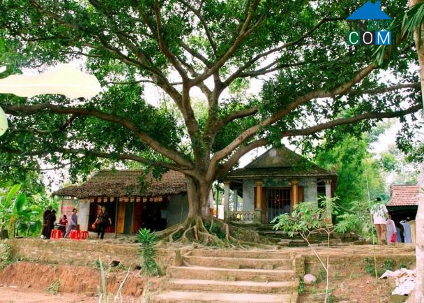 Hình ảnh Mai Hoa, Hà Tĩnh