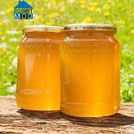 Hình ảnh Hồng Quang, Hưng Yên