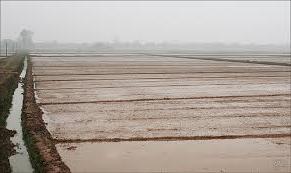 Hình ảnh Bắc Tiên Hưng, Hưng Yên