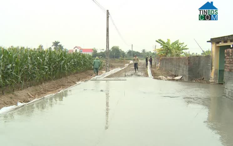 Hình ảnh Đông Thái Ninh, Hưng Yên