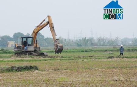 Hình ảnh Đông Tiên Hưng, Hưng Yên