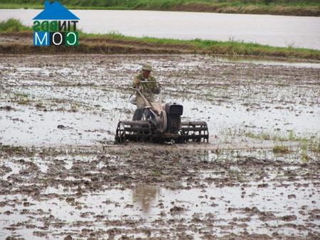 Hình ảnh Hiệp Cường, Hưng Yên