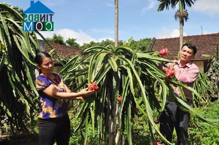 Hình ảnh Tân Hưng, Hưng Yên