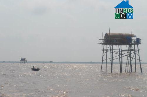 Hình ảnh Thái Ninh, Hưng Yên