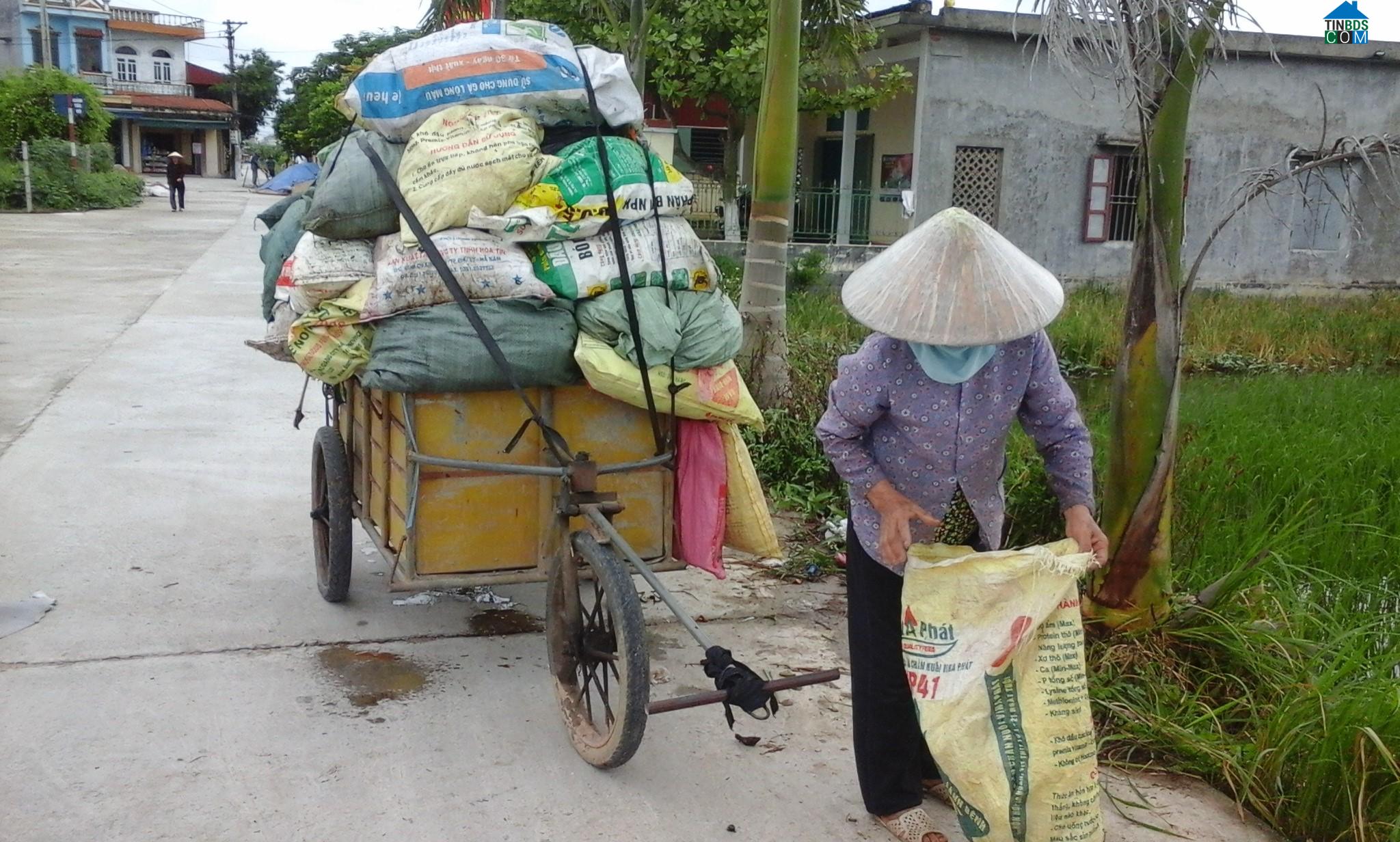 Hình ảnh Nam Thụy Anh, Hưng Yên