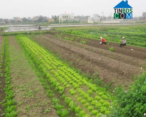 Hình ảnh Nam Tiền Hải, Hưng Yên