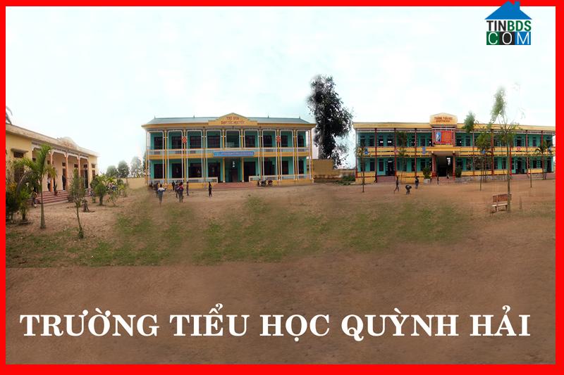 Hình ảnh Quỳnh Phụ, Hưng Yên