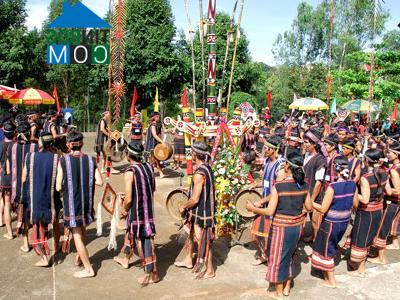 Hình ảnh Bác Ái Đông, Khánh Hòa