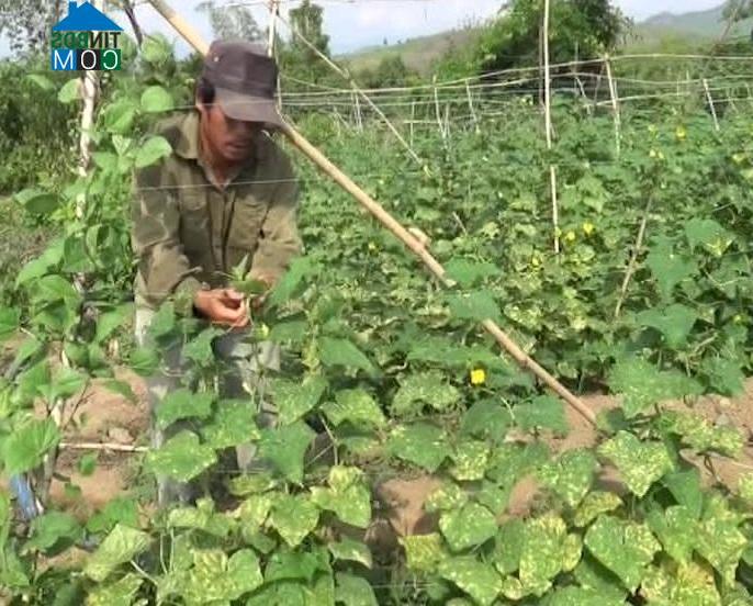 Hình ảnh Bắc Khánh Vĩnh, Khánh Hòa