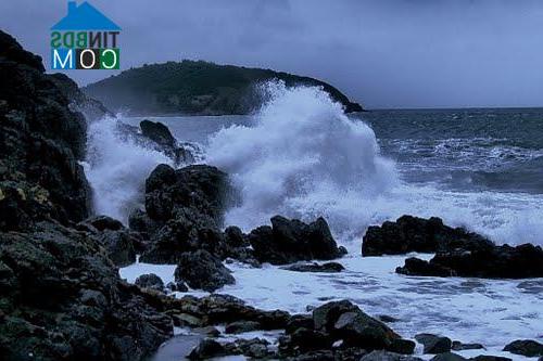 Hình ảnh Bắc Nha Trang, Khánh Hòa