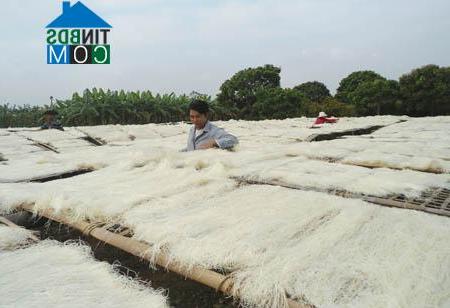 Hình ảnh Việt Yên, Hưng Yên