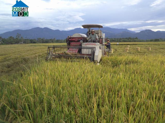 Hình ảnh Diên Điền, Khánh Hòa