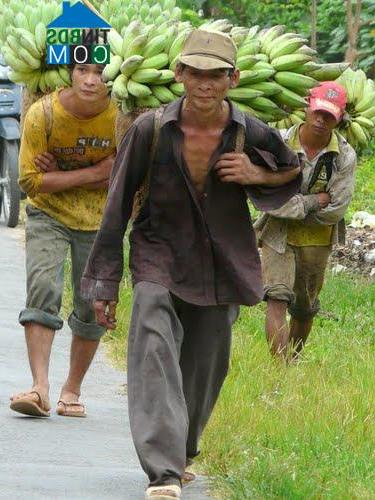 Hình ảnh Đông Khánh Sơn, Khánh Hòa