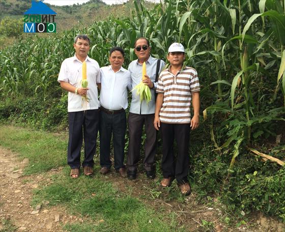 Hình ảnh Hòa Trí, Khánh Hòa