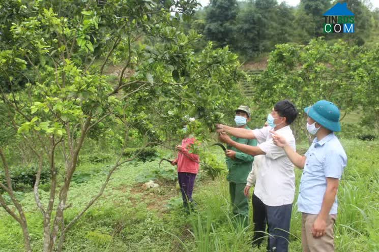 Hình ảnh Khun Há, Lai Châu