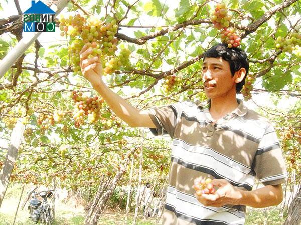 Hình ảnh Phước Hậu, Khánh Hòa