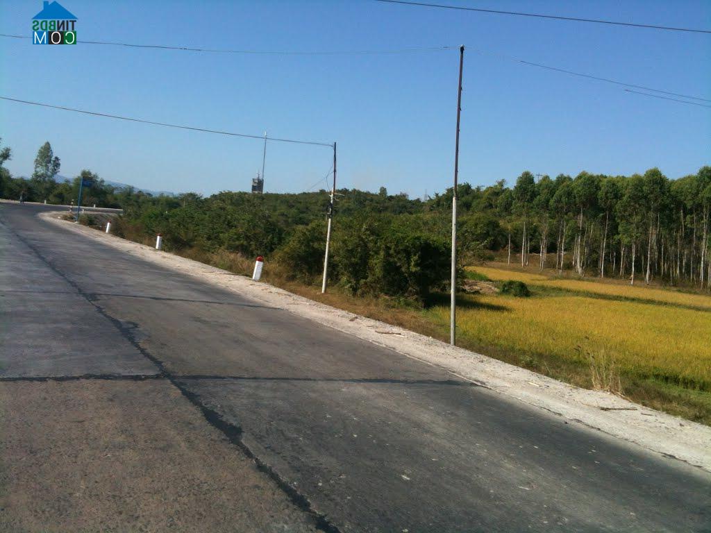 Hình ảnh Tân Định, Khánh Hòa