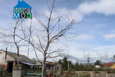 Hình ảnh Thuận Nam, Khánh Hòa