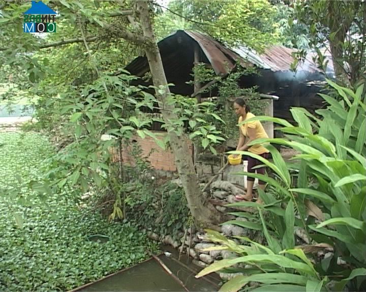 Hình ảnh Trung Khánh Vĩnh, Khánh Hòa