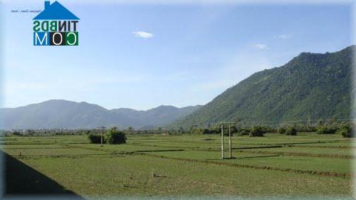 Hình ảnh Tu Bông, Khánh Hòa