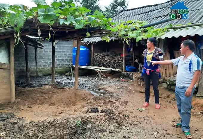 Hình ảnh Dào San, Lai Châu