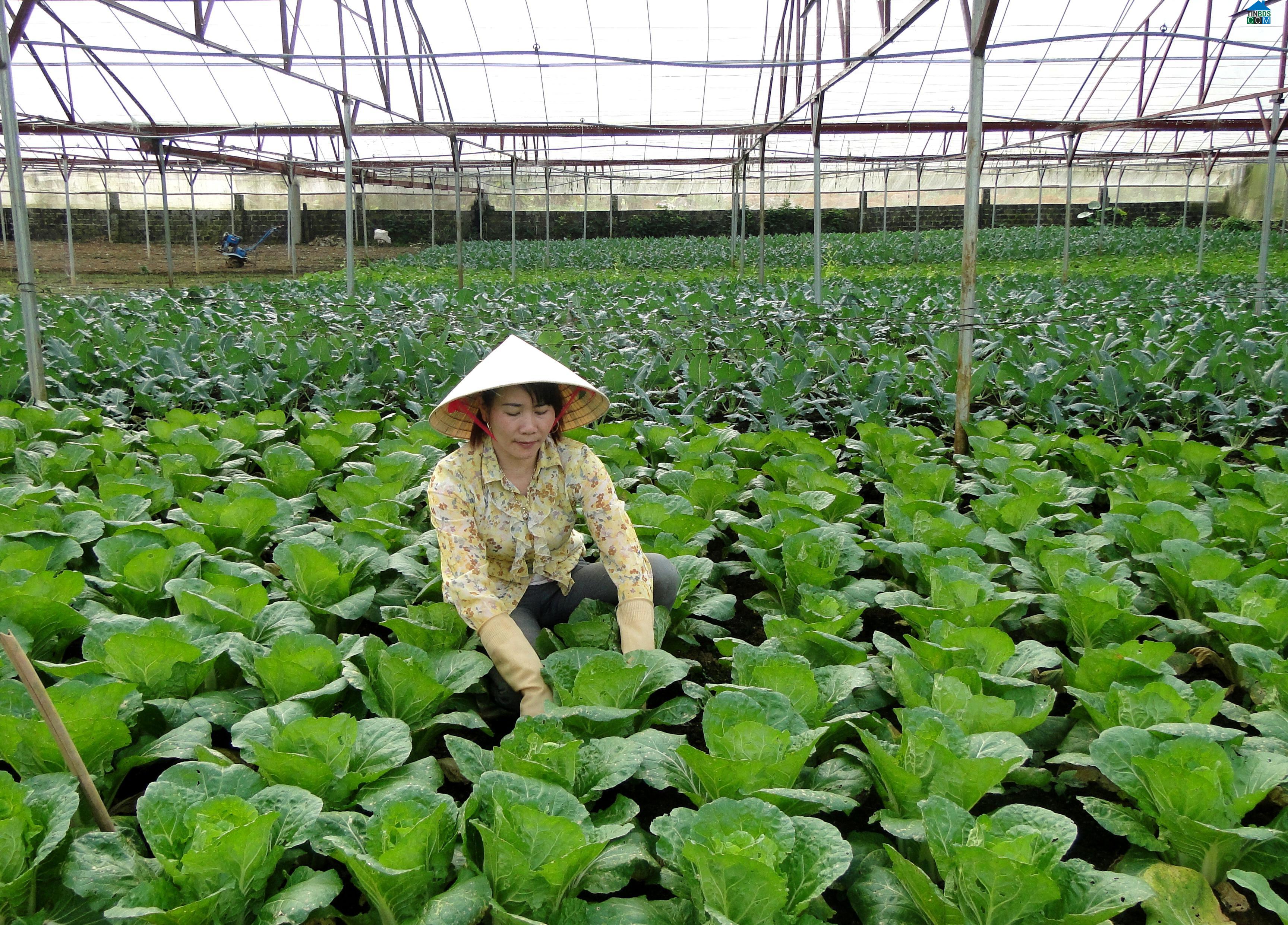 Hình ảnh Đoàn Kết, Lai Châu