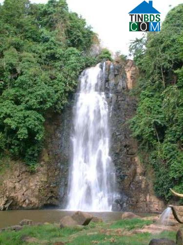 Hình ảnh Di Linh, Lâm Đồng