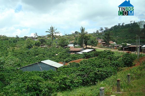 Hình ảnh Sơn Điền, Lâm Đồng